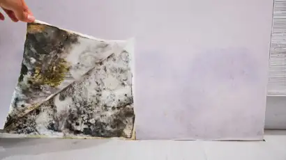 How to Identify and Remove Mold in Your Home?