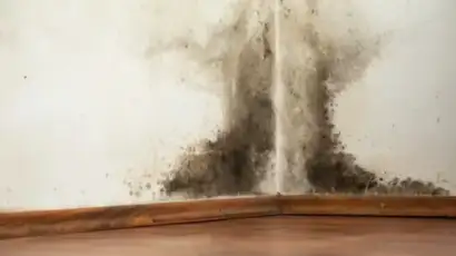 How to Remove Black Mold from Walls